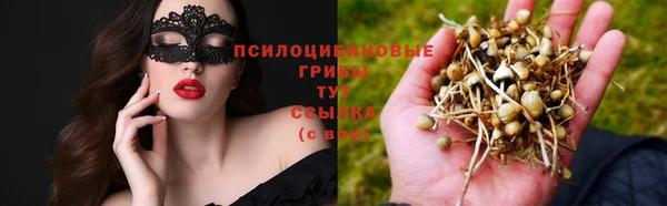 круглые Алзамай