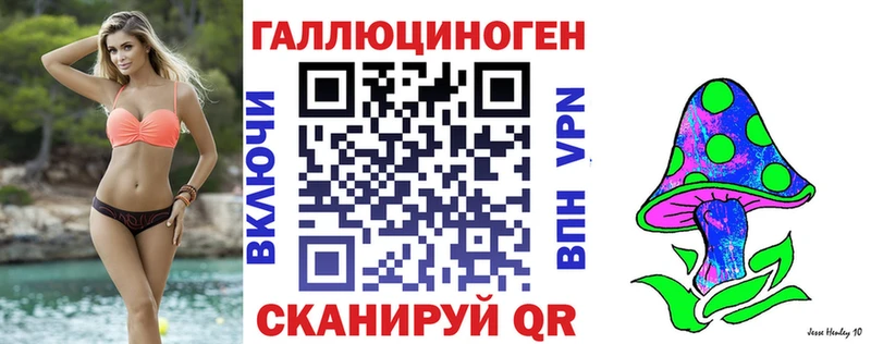 Псилоцибиновые грибы Psilocybine cubensis  Ухта 